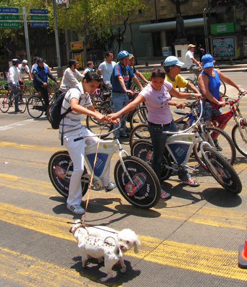 Perro en bicicleta en la ciudad de México