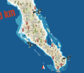 Mapa Baja 500