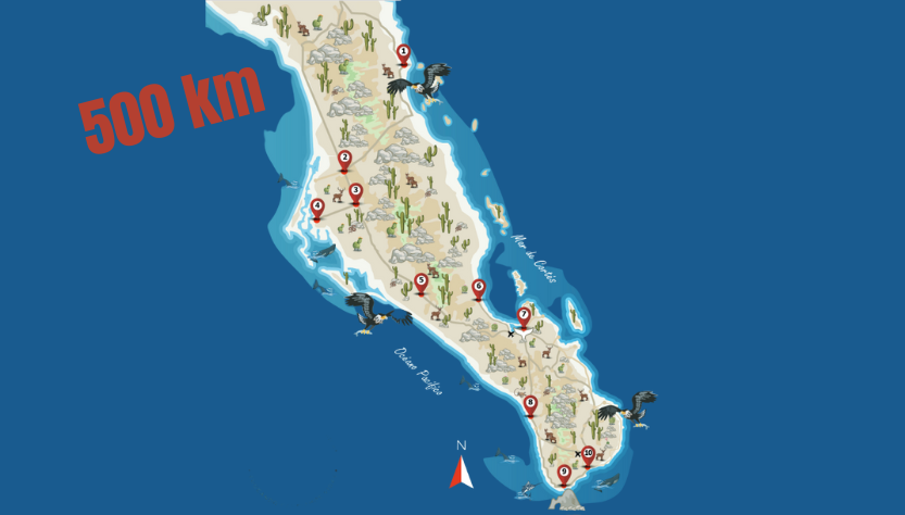 Mapa Baja 500
